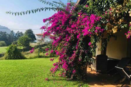 Acogedora Casa En Asturias Villa Candamin Ngoại thất bức ảnh